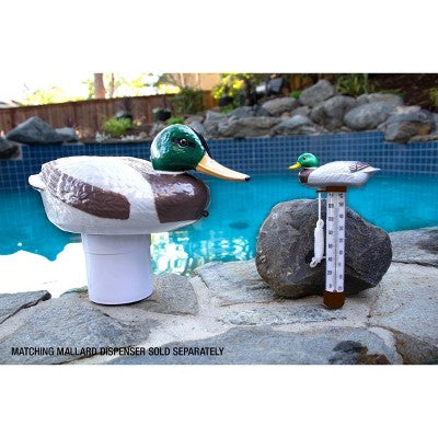  Poolmaster Mallard Duck Floating Swimming Pool And Spa Thermometer