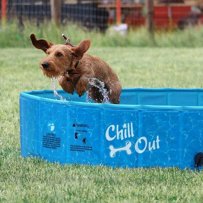 All For Paws Allforpaws Foldable Dog Pool, Dog Swimming Pool For Outdoor Summer , Blue