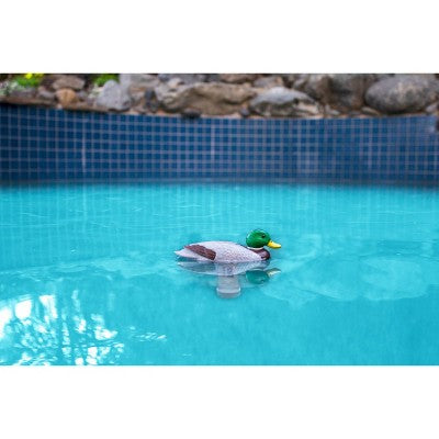  Poolmaster Mallard Duck Floating Swimming Pool And Spa Thermometer