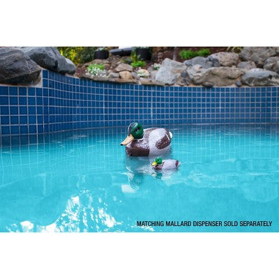  Poolmaster Mallard Duck Floating Swimming Pool And Spa Thermometer