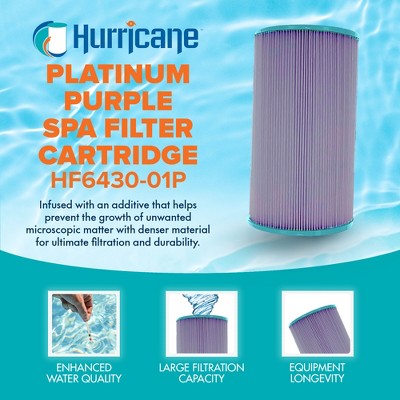 Hurricane 4 Pack HF6430-01P Platinum Purple Spa Filter Cartridge Replacement For PWK30, Unicel C-6430, Filbur FC-3915, Watkins Hot Spring Spas