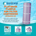  Hurricane 2 Pack HF8410-01P Platinum Purple Spa Cartridge Replacement For PJANCS200, Unicel C-8418, Filbur FC-0823, Jandy Industries CS 200
