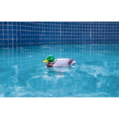 Poolmaster Mallard Duck Floating Swimming Pool And Spa Thermometer
